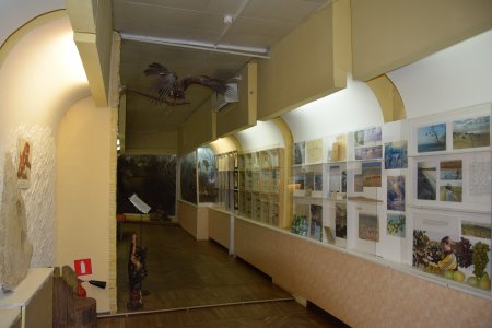 Панорама музея